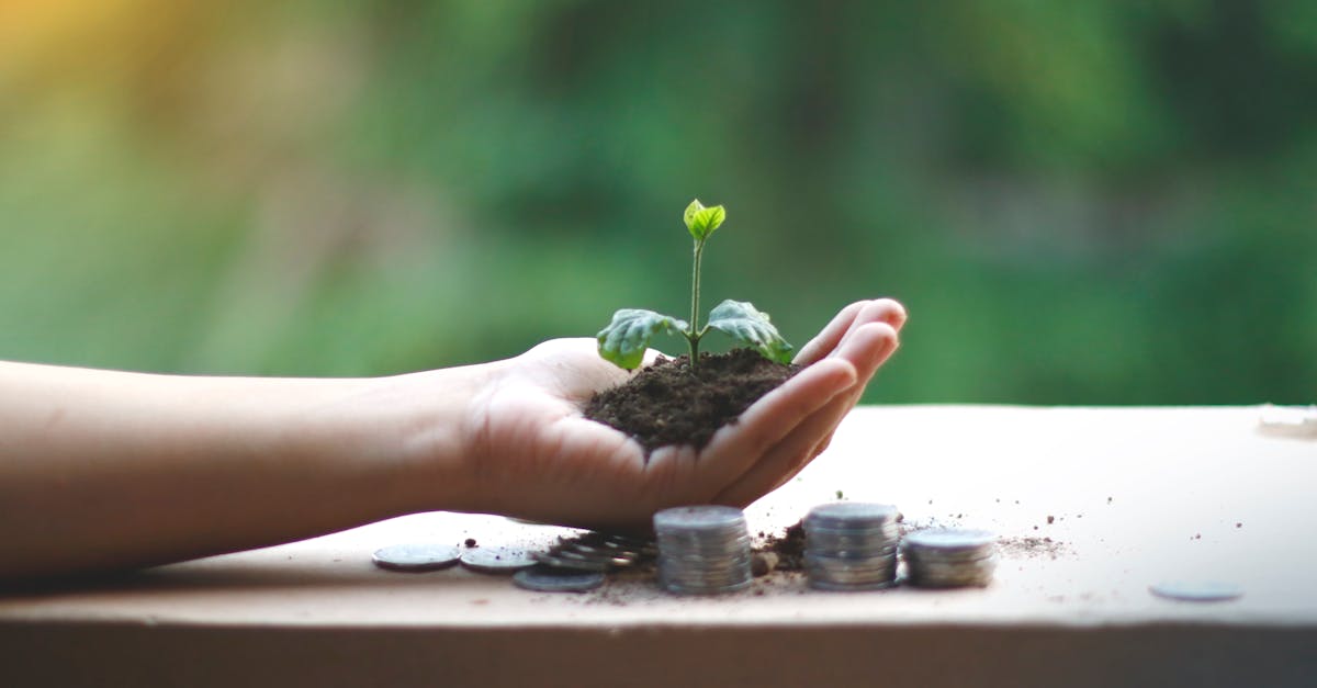 Marchés Émergents : Le Fil Tendu entre Risque et Récompense