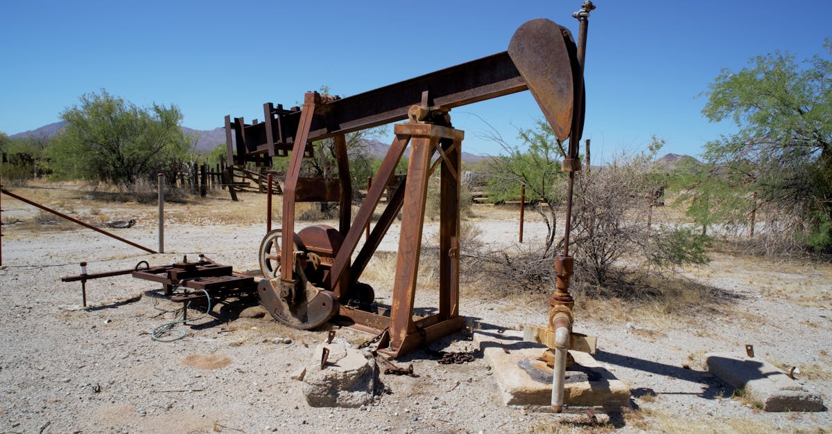 Les leçons du passé : cycles et innovations