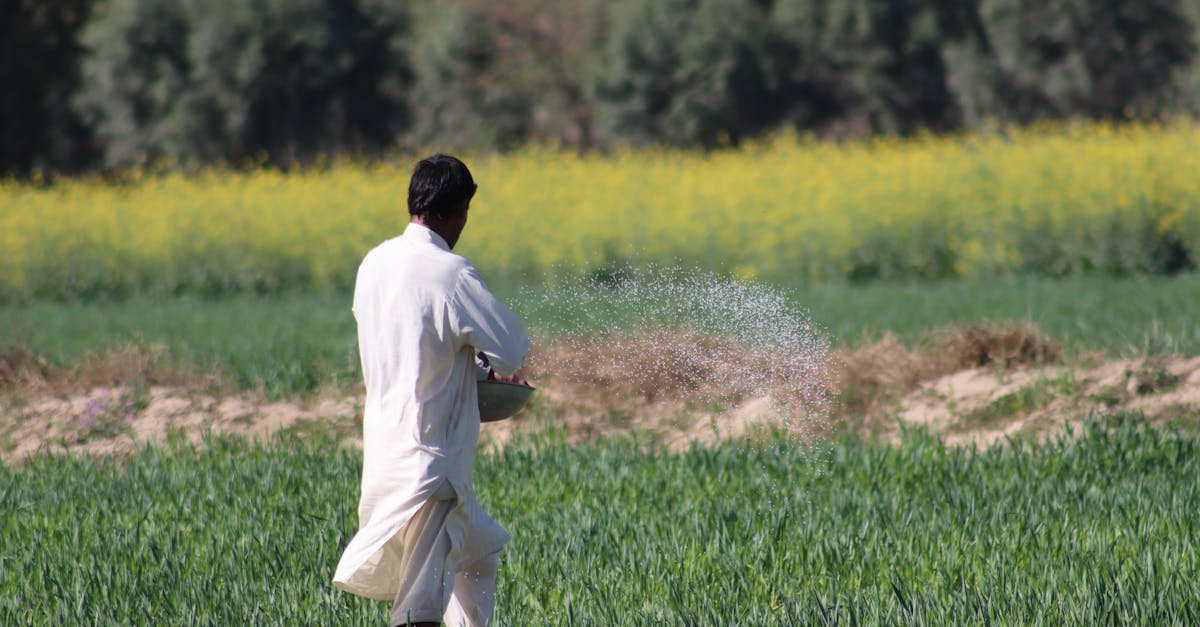 L'IA, un levier pour optimiser l'investissement dans ce secteur