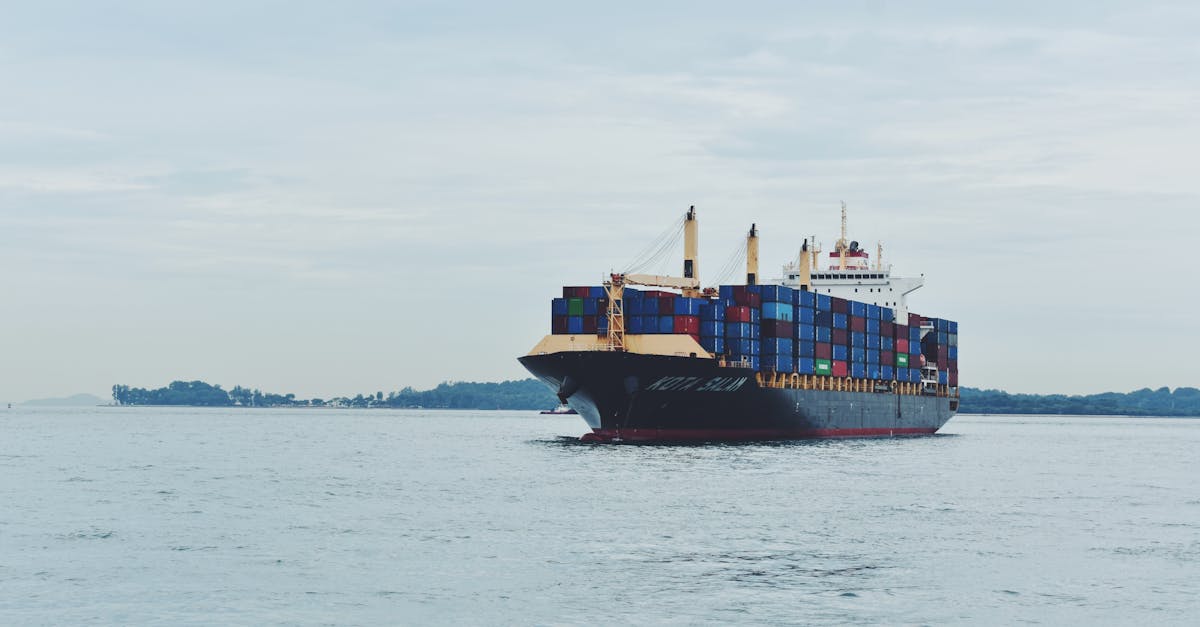 Flotte Maritime Stratégique : L'Australie Sécurise son Premier Vaisseau