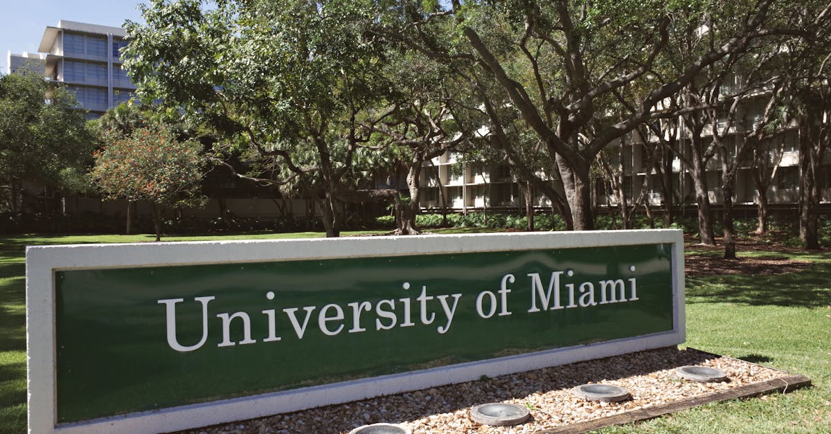 Quand l'Immobilier de Manhattan Dope une Fusion Universitaire : 203M$ pour Northeastern