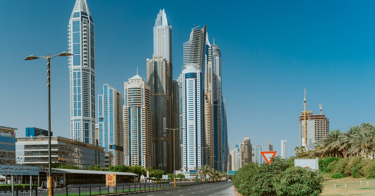 Défis et Perspectives : La Route vers l'Adoption de Masse