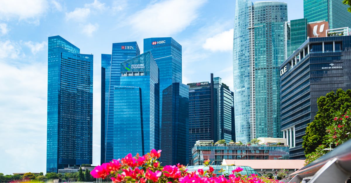 La Réponse des Marchés et l'Avenir du Trading Pétrolier