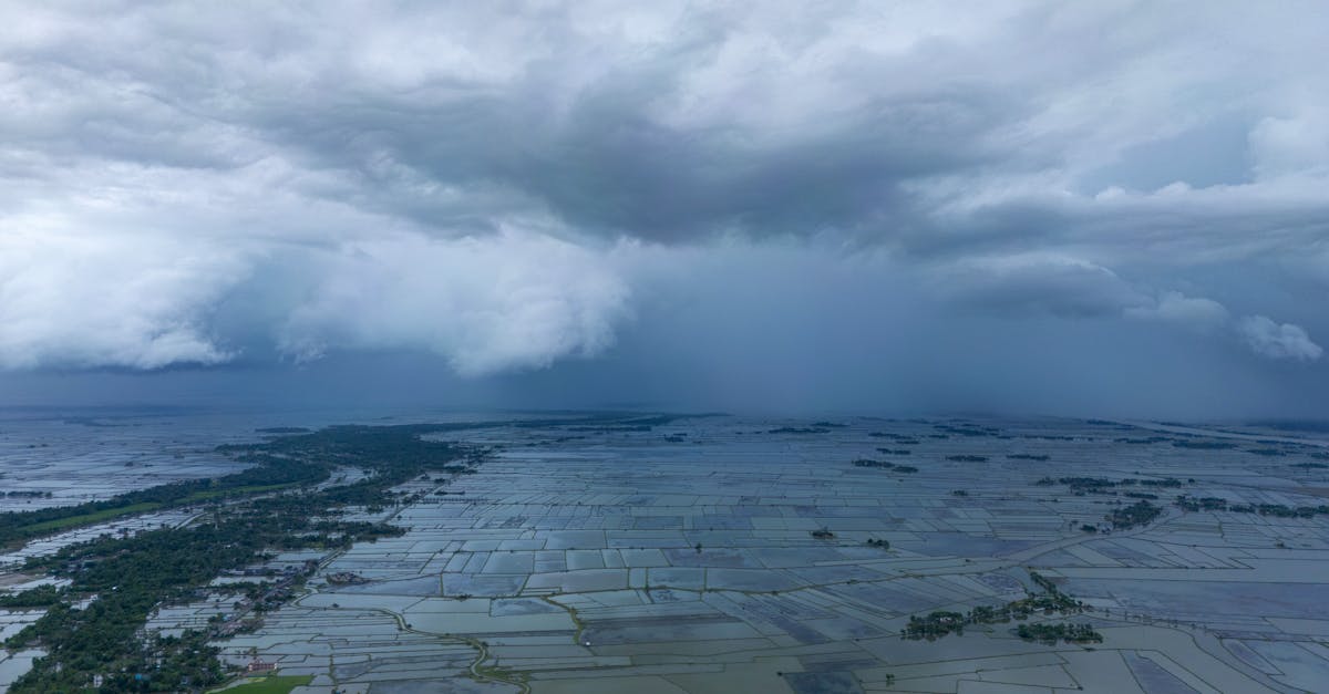 Climat et Finance : L'Inde se protège, l'IA optimise vos placements