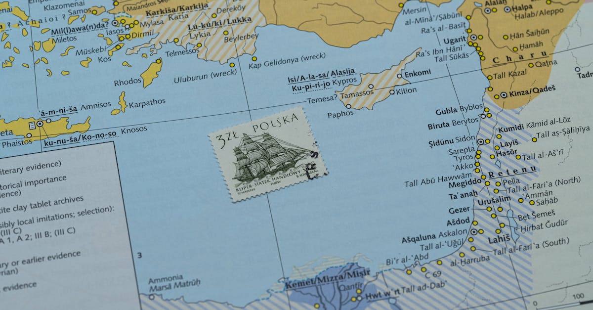 Optimisation des Placements : L'Avantage IA