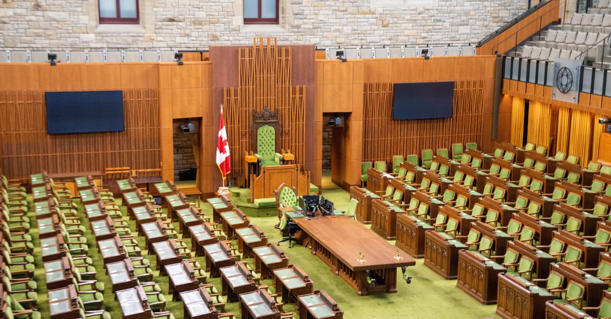 Au-delà de l'Écran : Quels Impacts sur le Développement des Jeunes ?