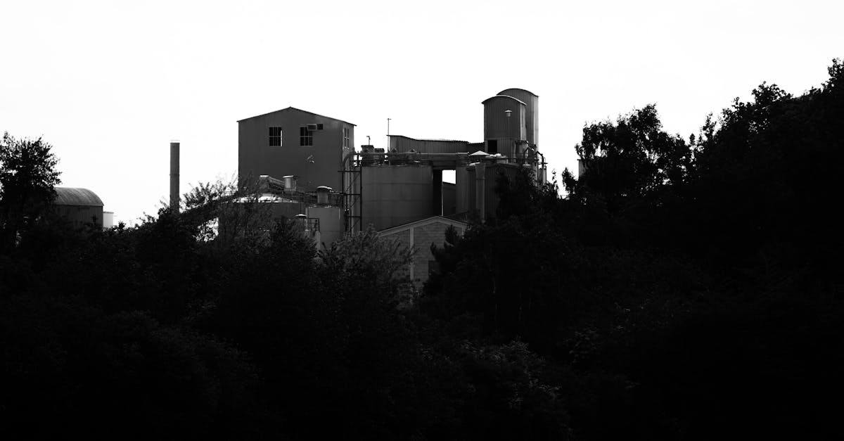 Usine allemande avec de la fumée s'échappant des cheminées, symbolisant l'activité industrielle