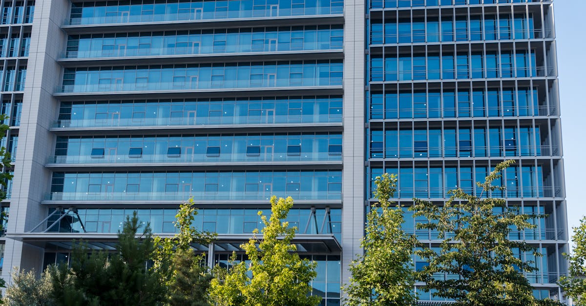 Sony: IA et Propriété Intellectuelle, l'avenir de l'investissement?