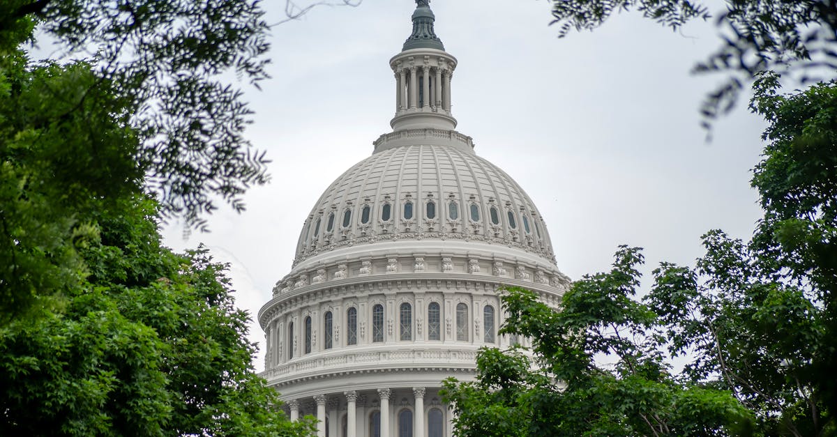 Les Fondements Libertariens de Massie : Moins d'État, Plus de Liberté Individuelle